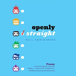 Openly Straight Audiolibro