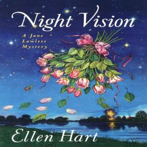 Night Vision Audiolibro